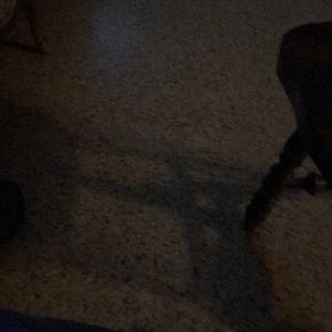 Meet your Posher, Scott